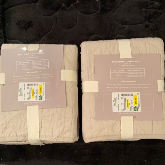Other - Or of 2 EURO shams new Remi